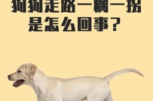 狗狗吃完后多久可以散步？（了解适当的饭后散步时间，让宠物健康快乐）