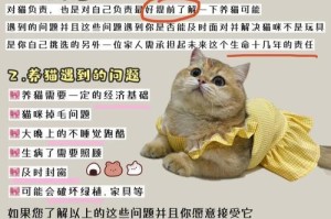 揭秘猫咪消费最畅销保健品！（新手养猫必看！）