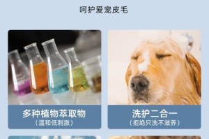 如何选择适合狗狗皮肤病的沐浴露（了解狗狗皮肤病的常见原因与治疗方法）