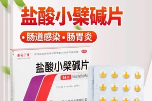 挽救胃部痛苦，推荐适合吐后的药物（以要吐为主题，为你推荐适合吐后的药物及其使用方法）