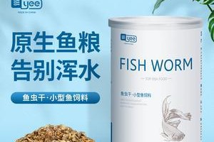 孔雀鱼的理想鱼食品牌选择（挑选适合孔雀鱼的营养鱼食，让鱼儿生机勃勃）