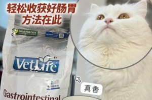 以猫吐黄水喂什么？（揭秘猫吐黄水的原因及合理饮食安排）