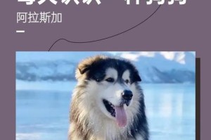 以阿拉加斯养大所需的时间（照顾阿拉加斯需要多少年？）