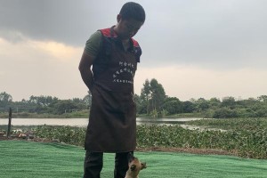 如何训练狗狗坐下？（宠物训练指南）