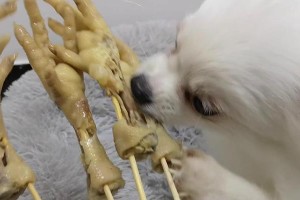 为什么狗喜欢吃鸡骨头？（探索狗喜欢鸡骨头的原因和安全问题）