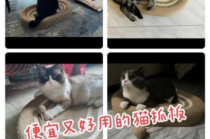 教你如何DIY猫抓板（用简单材料打造耐用猫抓板，让宠物更健康快乐）