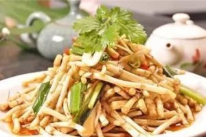狗耳贴的神奇功效（解锁狗耳贴的多重作用，让宠物更健康）