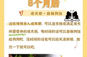 边牧多久不用泡食的正确方式（科学饲养方法与健康成长）