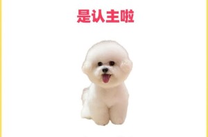 幼犬对主人的认识需要多长时间？（揭秘幼犬与主人建立关系的奥秘）