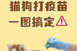 狗狗疫苗保护宠物健康的重要性（全面预防疾病，让你的狗狗健康快乐生活）