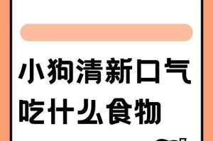 以什么食物喂养狗能促进生长？（探索狗狗生长的关键营养需求和食物选择）