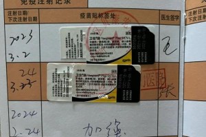 小狗疫苗接种注意事项（确保小狗健康，养成良好免疫习惯）