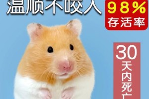 探索鼠类宠物中体型巨大的品种（揭开鼠类宠物中体型巨大背后的神秘面纱）