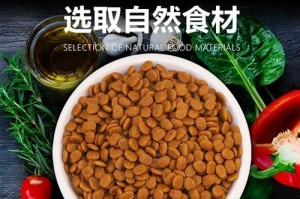 拉布拉多6月大应以何种狗粮为主食？（为宠物拉布拉多选择适合其生长阶段的狗粮至关重要）