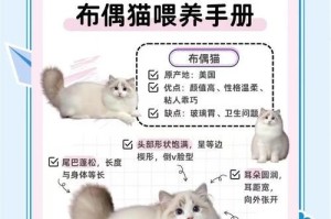 布偶猫的妊娠期与分娩过程（了解布偶猫的生育周期及注意事项）