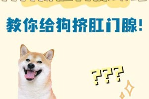 如何治疗泰迪屁眼红肿？（选择适合的药物，解决泰迪屁眼问题）