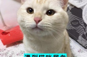 猫咪夏季突然瘦尿血，要警惕这些疾病（探究猫咪夏季瘦身、尿血背后的原因及治疗方法）