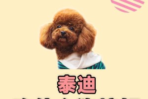 泰迪犬两个月饮食指南（为你的宠物提供健康营养的饮食建议）