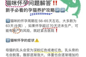母猫产后需要补充营养的重要性（以母猫生完吃点什么补补）