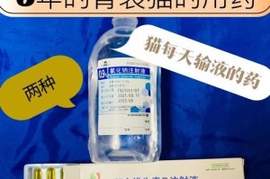小狗细小输液的药物选择（了解小狗细小输液中药物的重要性与选择）