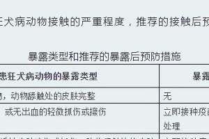 狗狗得了狂犬病怎么办？——了解狂犬病及其处理方法