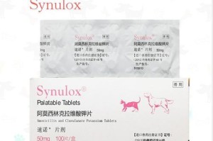 狗口腔溃疡的治疗方法及药物推荐（帮助你了解狗口腔溃疡的症状和药物治疗方案）