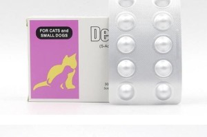 黄疸狗狗禁食药品注意事项（了解黄疸狗狗禁食药品的重要性）