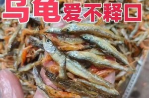如何补充缺钙的巴西龟？（巴西龟缺钙问题的解决方案）