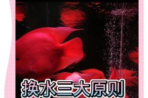 鱼缸换水的时间和频率（了解换水的重要性，科学养鱼护鱼）