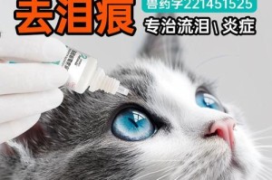 狗眼睛的护理（关爱它的眼睛，守护它的幸福生活）