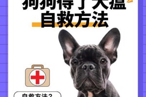探索犬瘟的症状及预防方法（了解狗得犬瘟的常见症状和防治措施）