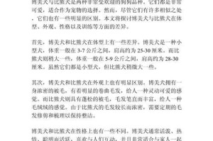 探索博美品种的区别（了解博美狗独特的特征和性格）