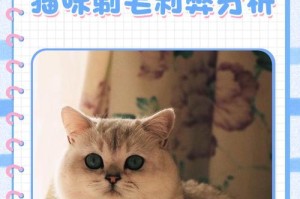 猫剃毛的利与弊（猫剃毛的必要性及其对猫咪健康的影响）