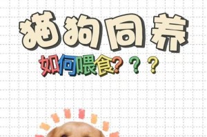 幼犬喂食指南（每日喂食次数和适量是关键）