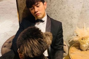 揭秘巨型贵宾犬价格及影响因素（了解巨型贵宾犬价格背后的五大关键因素）