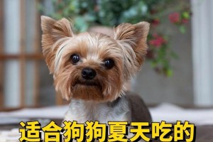狗狗手术后如何合理恢复饮食（详解狗狗手术后饮食注意事项及逐步增加摄入的）