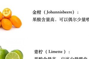 兔子的食量之谜（探寻兔子一次吃多少的秘密）