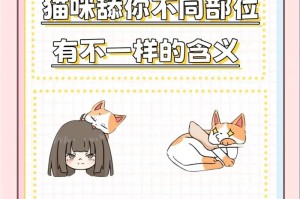 猫咪舔这几个地方的原因解析（探秘猫咪喜欢舔毛、爪子和主人的原因）