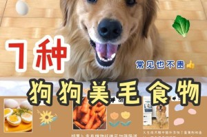 狗狗如何健康减肥（控制饮食及增加运动是关键）