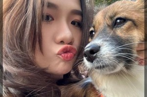 宠物狗（为什么宠物狗是与我最好的伙伴？）
