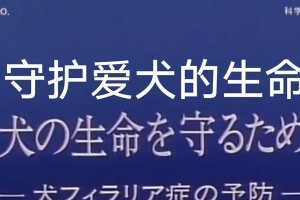 了解心丝虫病，预防胜于治疗（四个阶段症状各不同，什么是心丝虫病？）