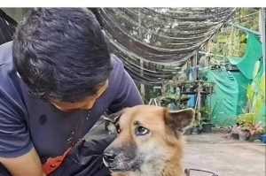 给狗洗澡的最佳选择（如何选择适合狗狗洗澡的产品）