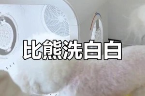 比熊洗澡频率及注意事项（你知道比熊需要多久洗一次澡吗？）