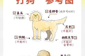 训练八哥犬的有效方法（掌握八哥犬训练技巧，建立积极互动）