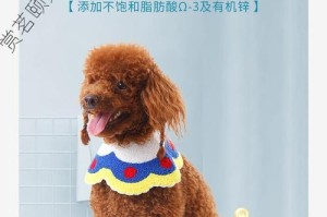 泰迪饲养全攻略（泰迪狗粮摄入量控制的重要性）