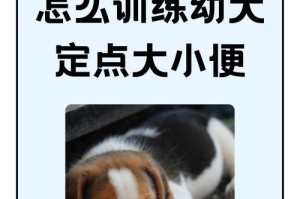 小狗的特征与个性（探索小狗为什么会有独特的特征）