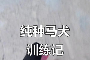 正确饲养马犬的方法（保证健康快乐的宠物生活）