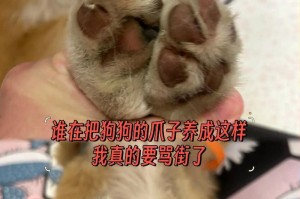 狗脚与美食的完美结合（探索狗脚的独特料配味道，带你领略不一样的美食体验）