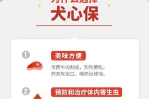 狗狗吃了打虫药后多久可以进食？（了解狗狗服用打虫药后的恢复时间和注意事项）