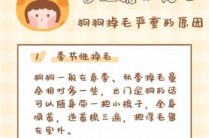 如何处理狗狗生产后严重脱毛问题（有效应对狗狗生产后脱毛的方法与技巧）